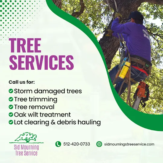 Sid Mourning Tree Service gallery 2