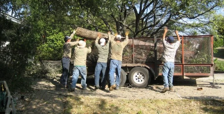 Sid Mourning Tree Service gallery 4