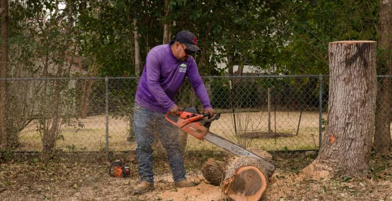 Sid Mourning Tree Service gallery 6