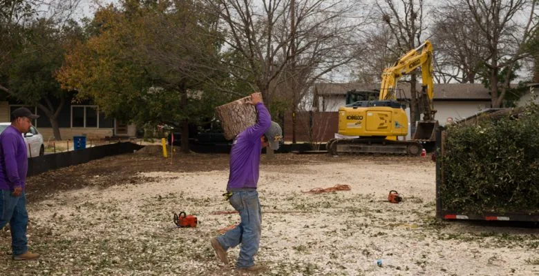 Sid Mourning Tree Service gallery 9