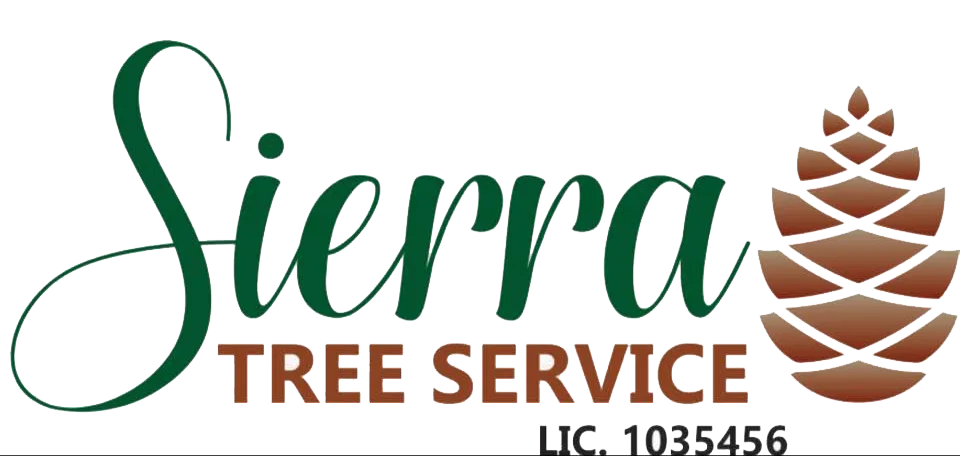 Sierra Tree Svc, LLC gallery 2