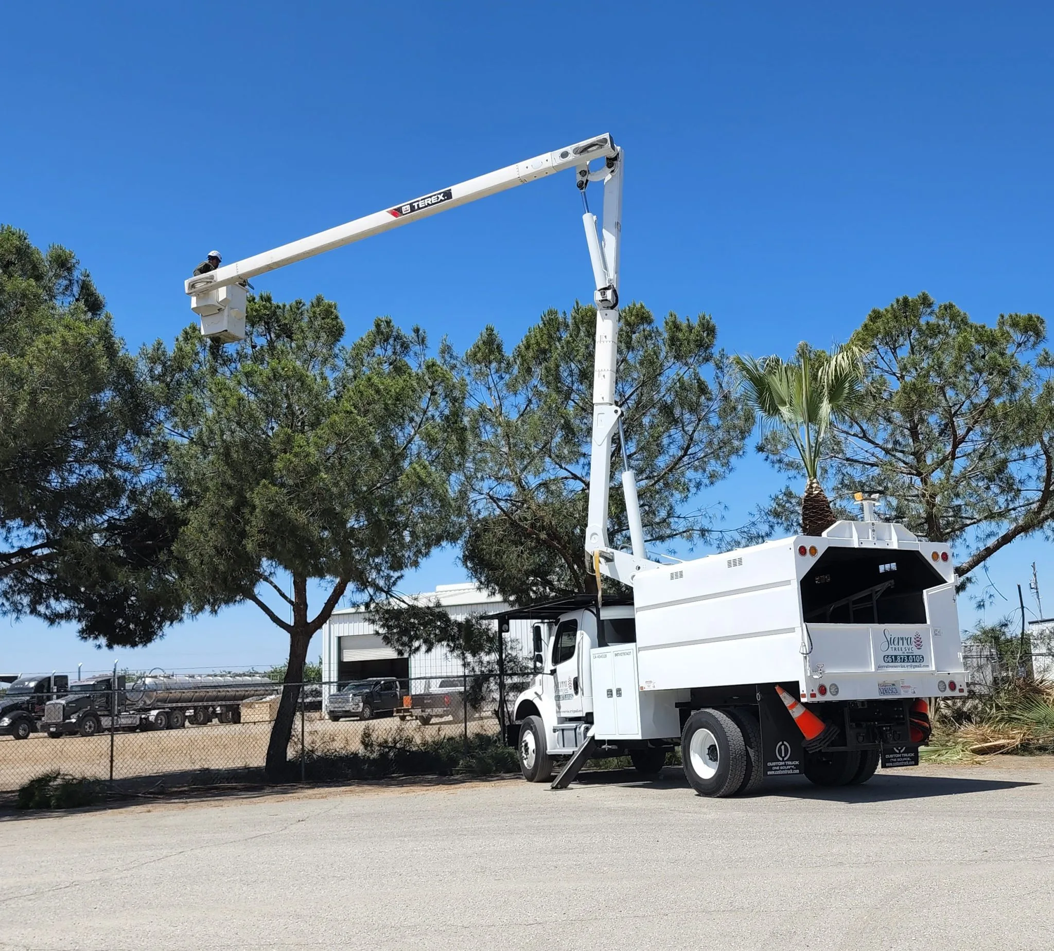 Sierra Tree Svc, LLC gallery 8