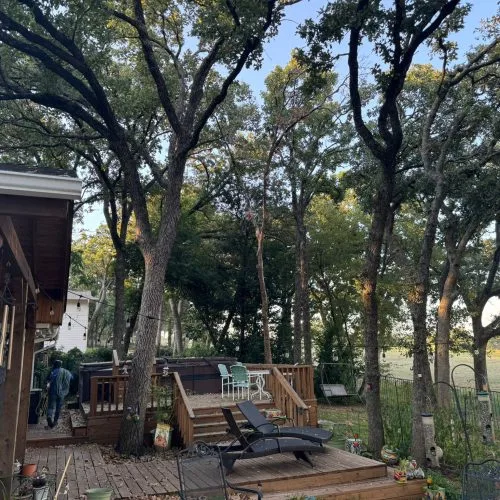 Soto Tree Service Inc gallery 9