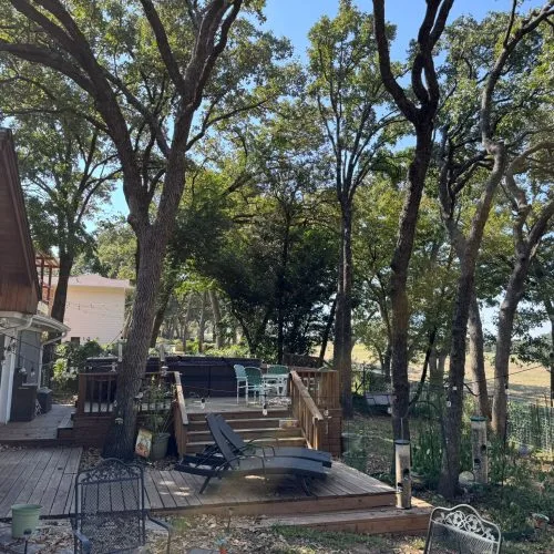 Soto Tree Service Inc gallery 10