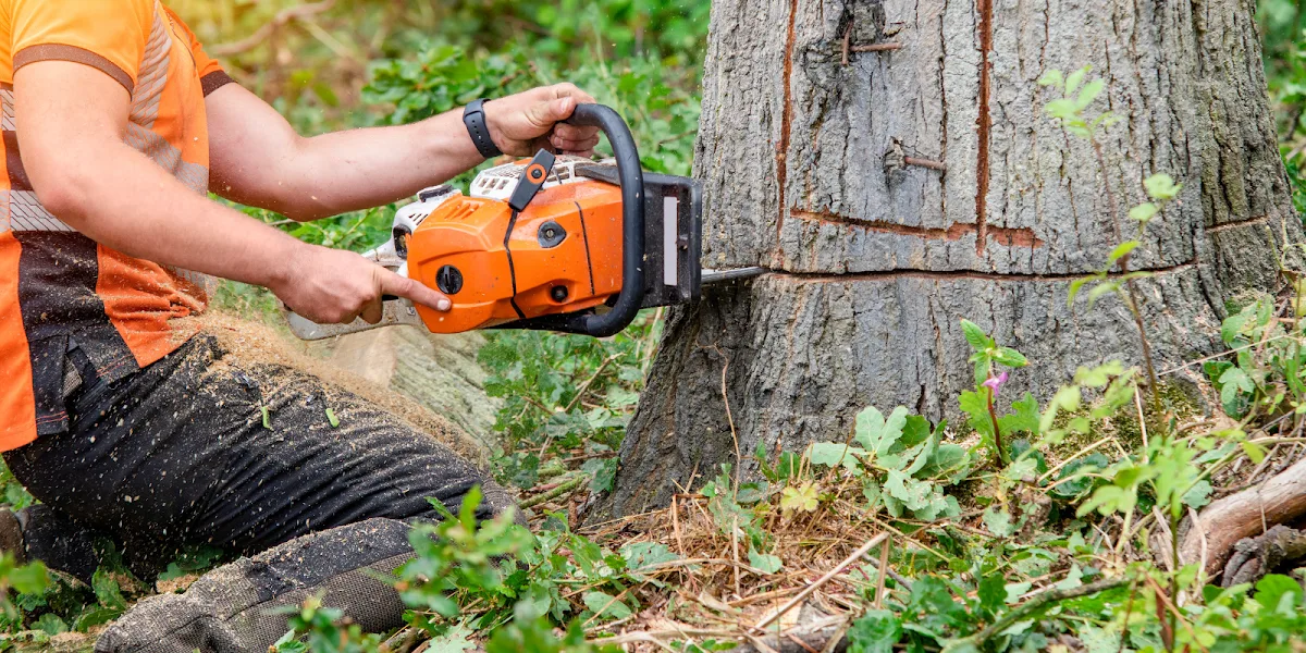 SOUNDVIEW TREE REMOVAL SERVICE