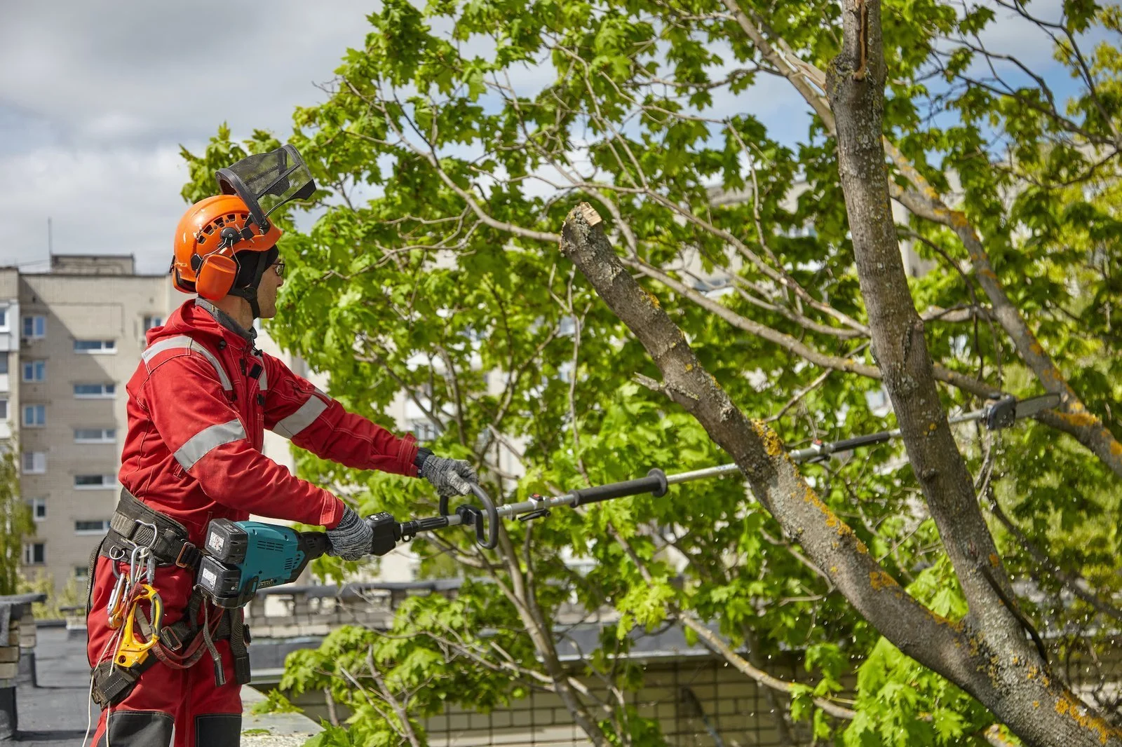 SOUNDVIEW TREE REMOVAL SERVICE gallery 7