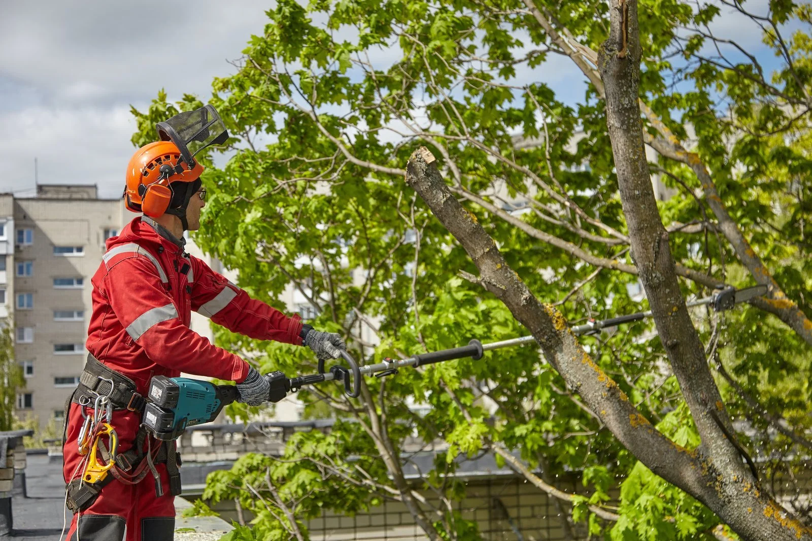 SOUNDVIEW TREE REMOVAL SERVICE gallery 8