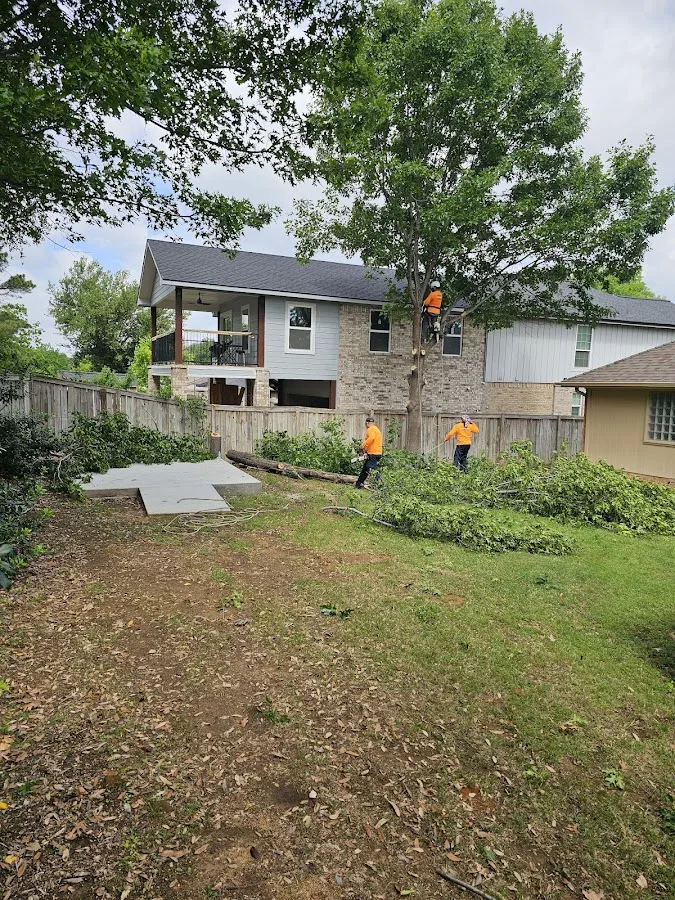 Southwest Tree Service work site