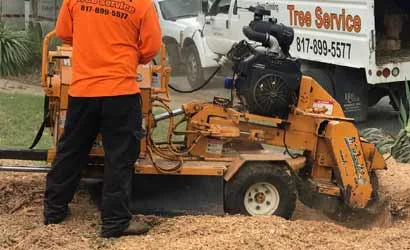 Southwest Tree Service gallery 6