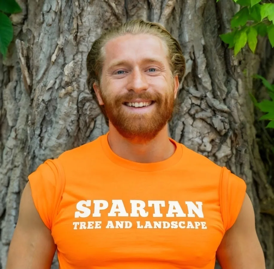 Spartan Tree and Landscape