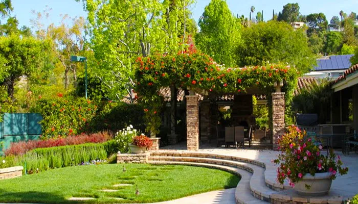 Specialized Tree Care & Landscape