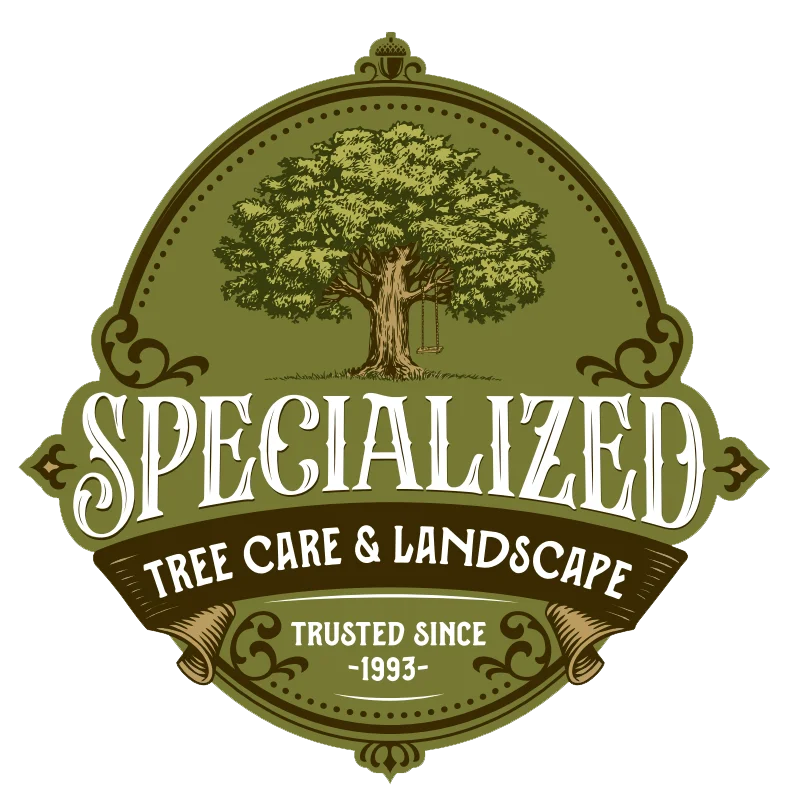 Specialized Tree Care & Landscape gallery 4