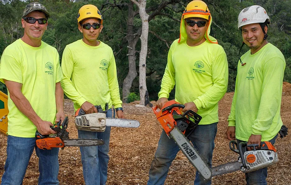 Specialty Tree Care Of Texas LLC gallery 2
