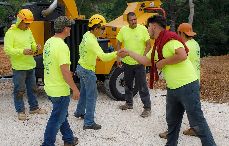 Specialty Tree Care Of Texas LLC gallery 3