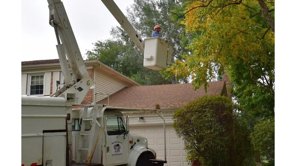 Steve Piper & Sons Tree Service