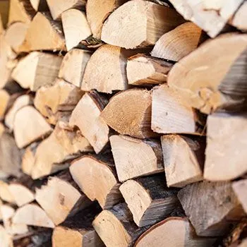 Steve Piper & Sons Tree Service gallery 4