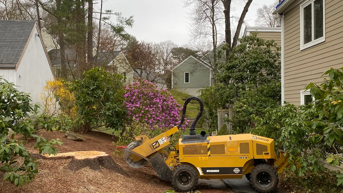 Stump N' Grind, Llc