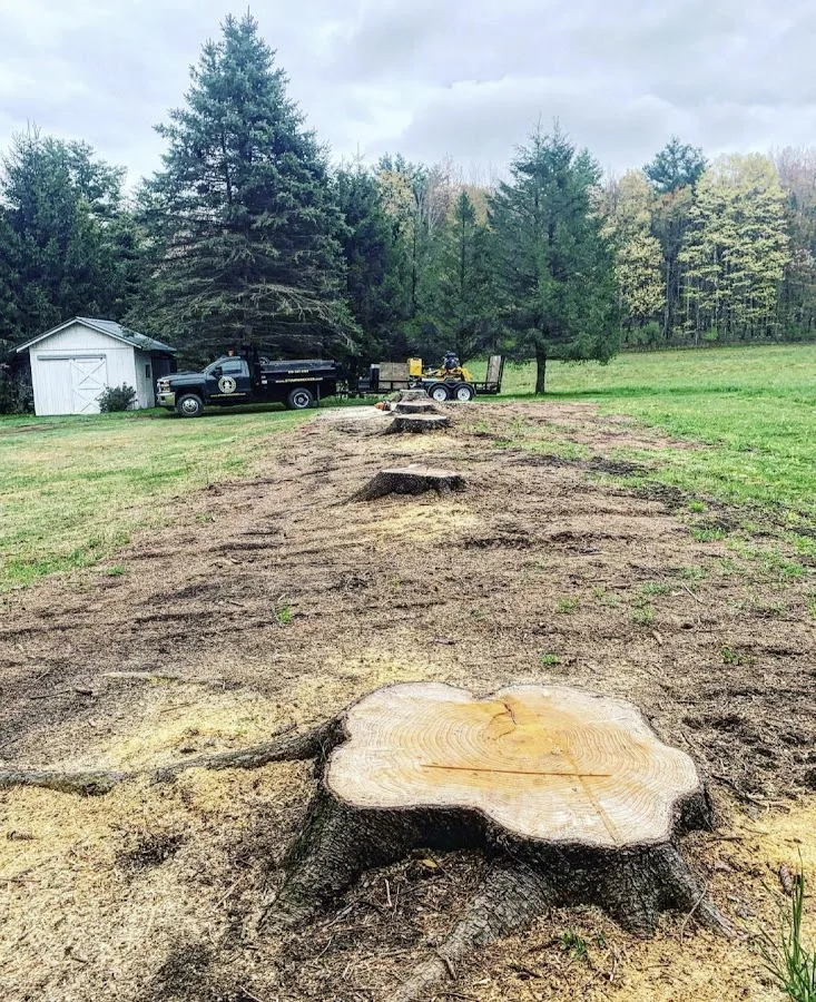 Stump Wrecker