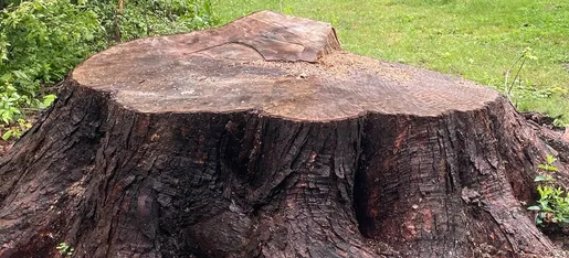 Stump Wrecker gallery 2