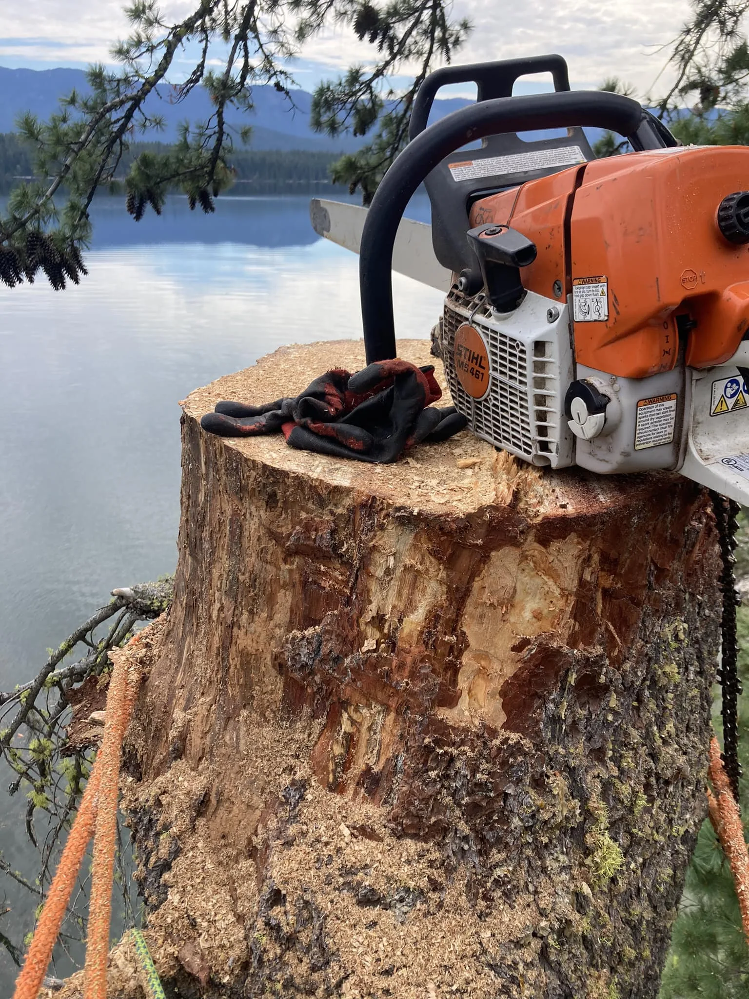 Summit Tree Care LLC gallery 2