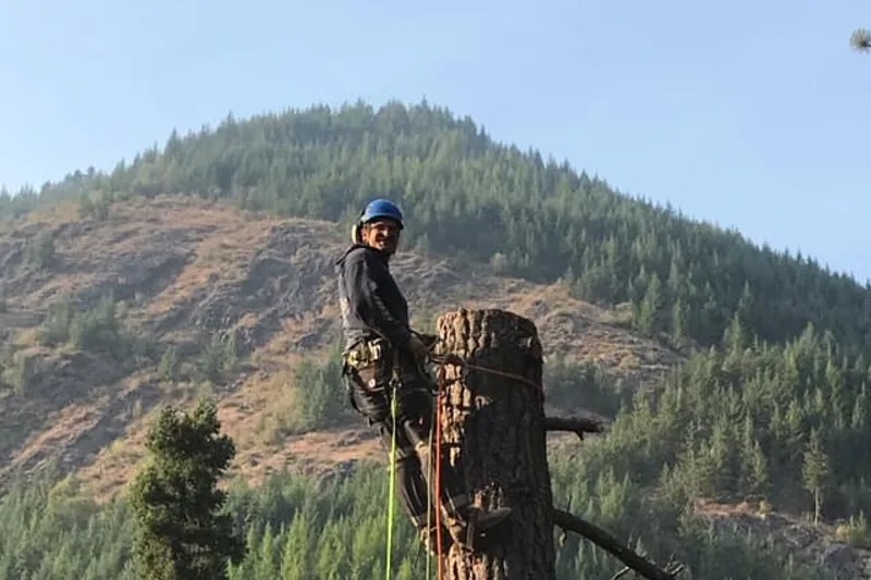 Summit Tree Care LLC gallery 6