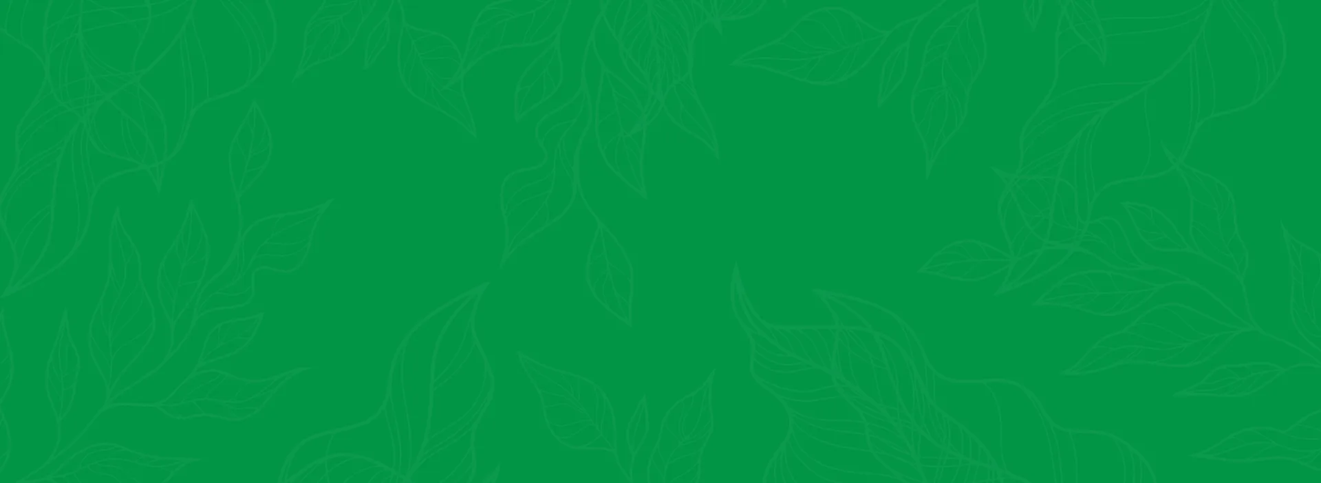 Supreme Tree Solutions gallery 3
