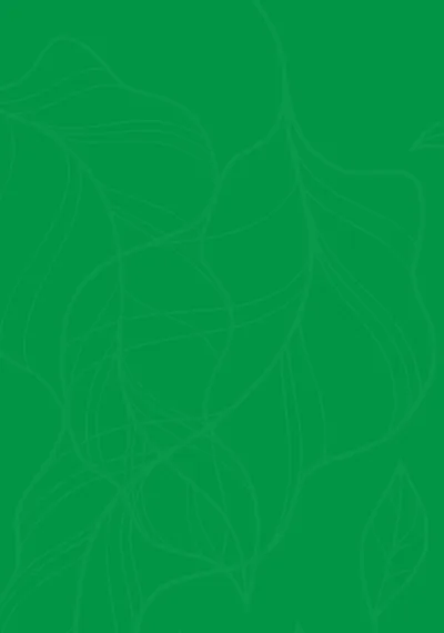 Supreme Tree Solutions gallery 4