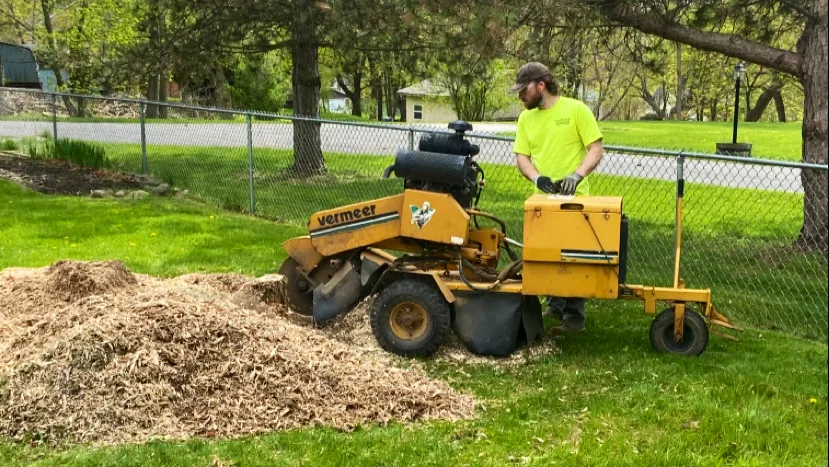 Syracuse Stump Removal