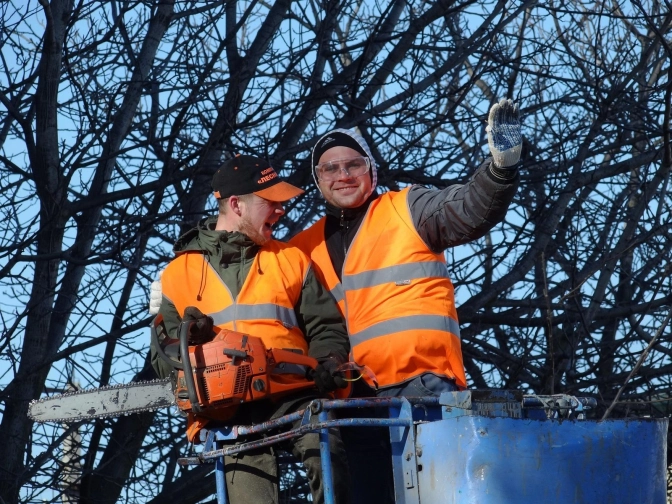 Syracuse Tree Service gallery 3