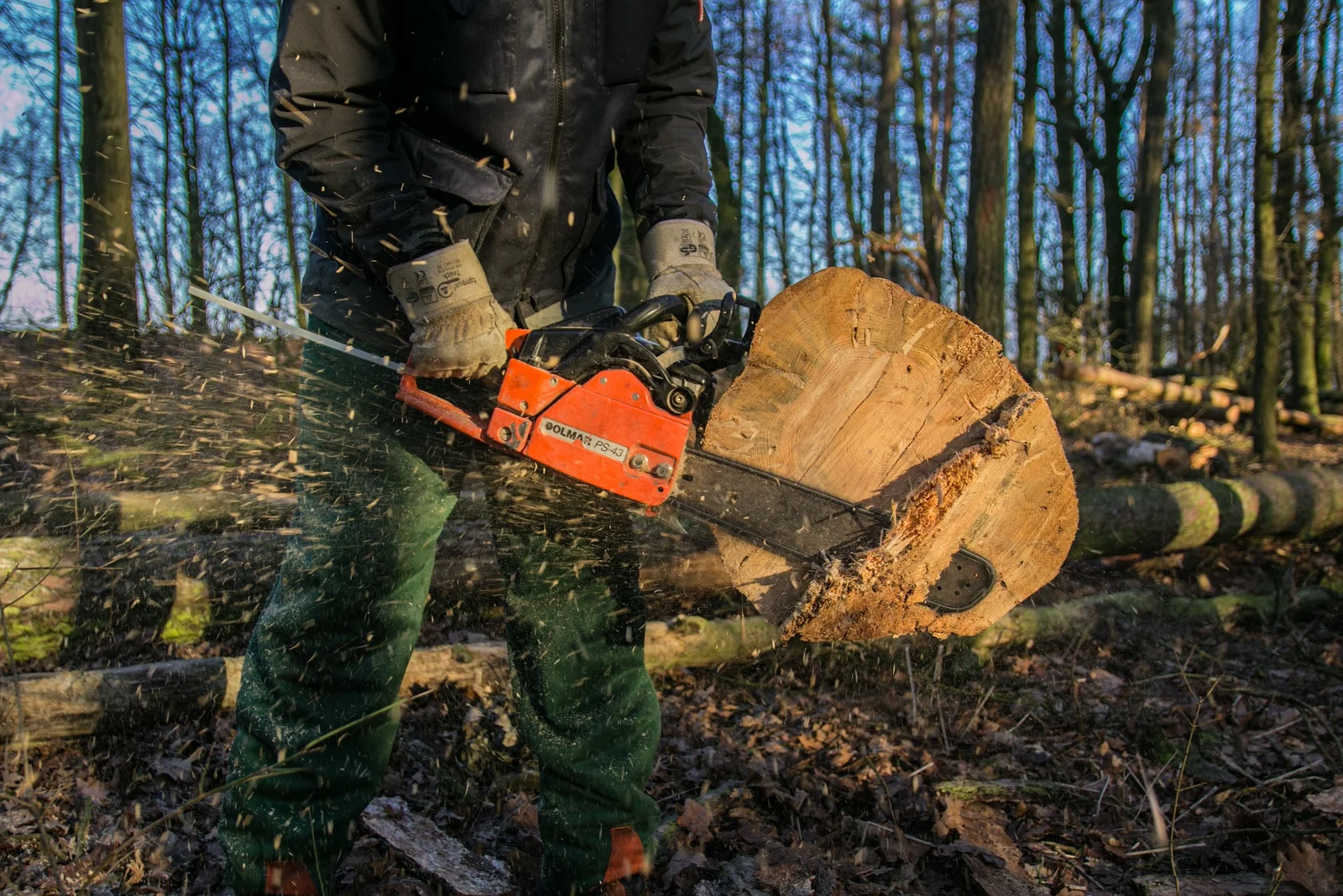 Syracuse Tree Service gallery 5