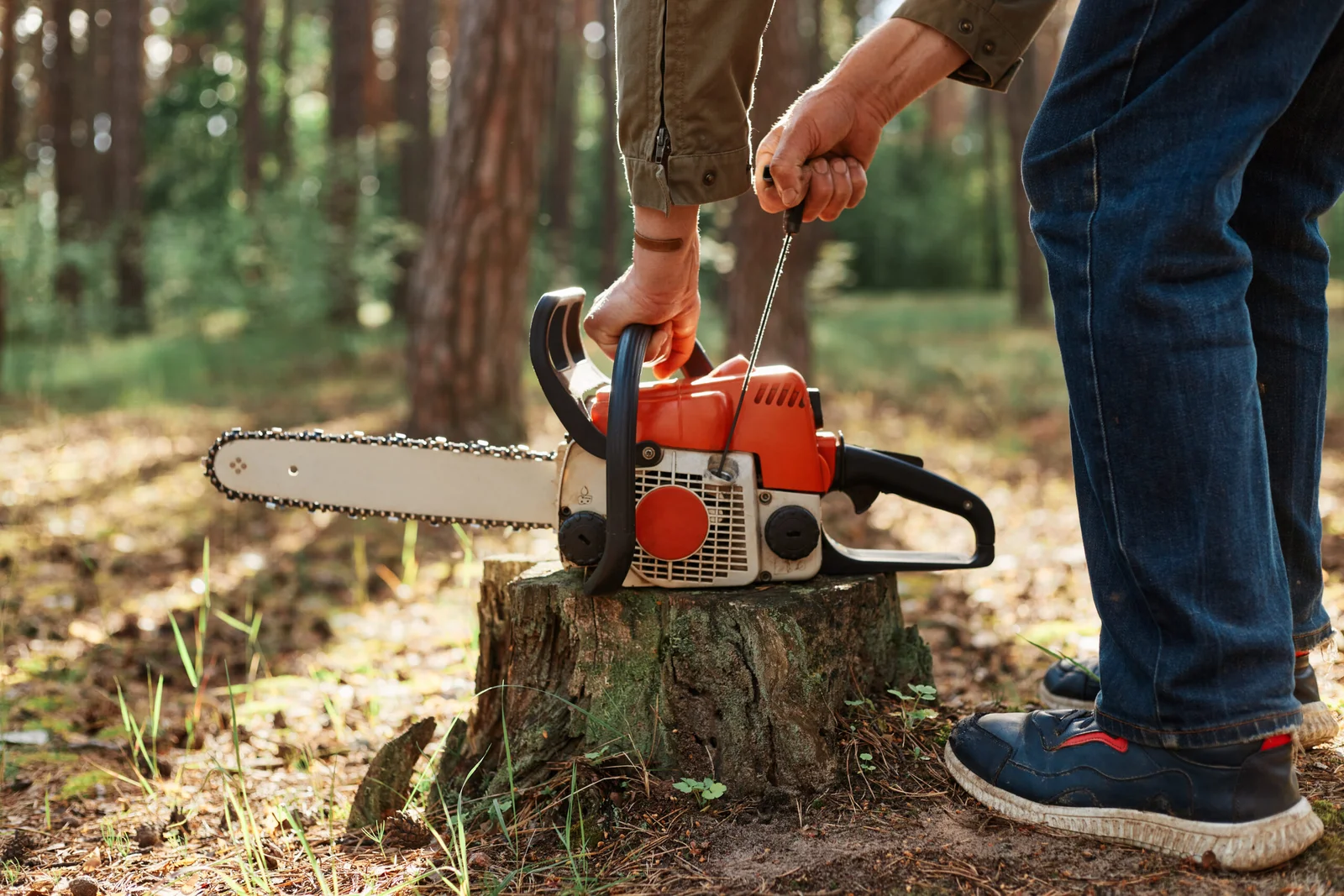 Syracuse Tree Service gallery 6