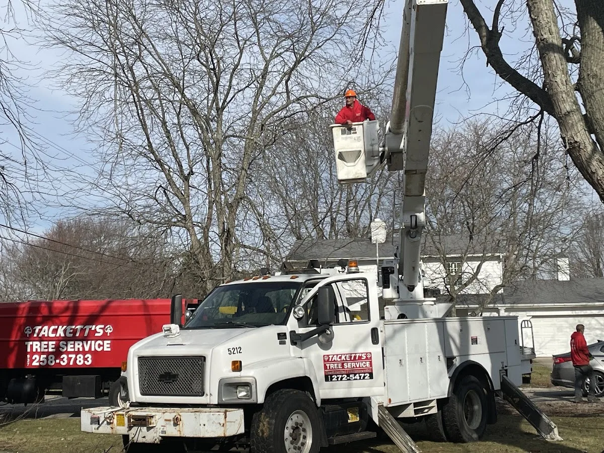 Tackett Tree Service