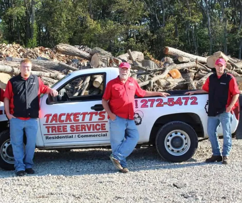 Tackett Tree Service gallery 5