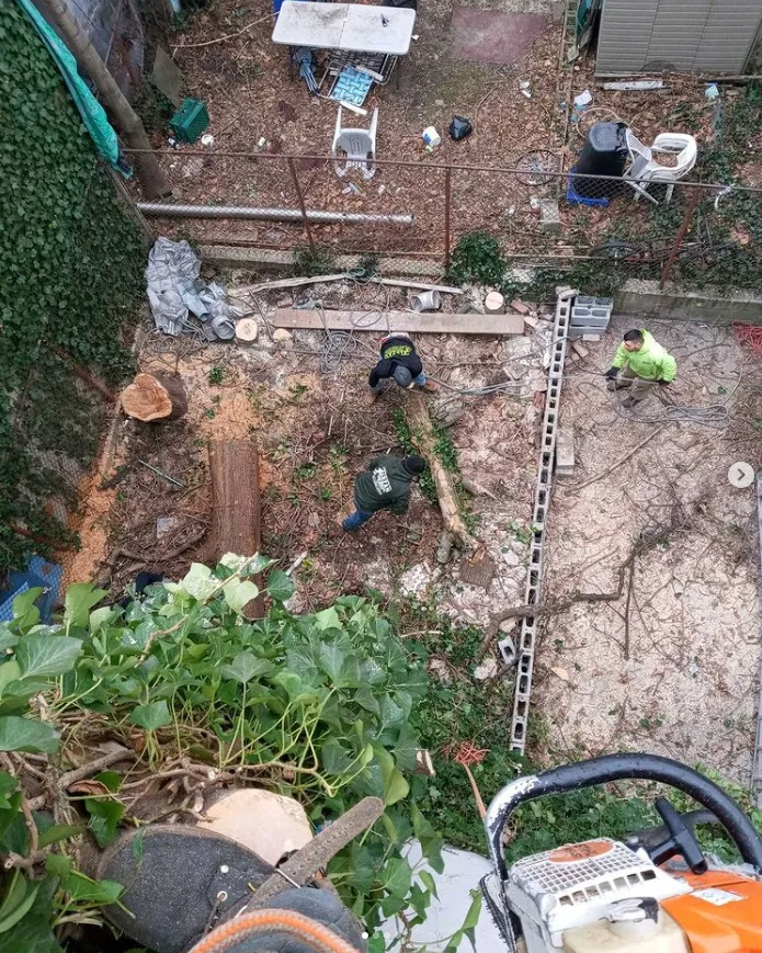 Tarzan Tree Removal, LLC gallery 7