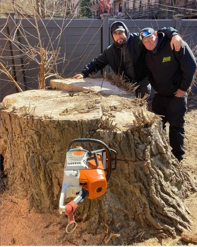 Tarzan Tree Removal, LLC gallery 8