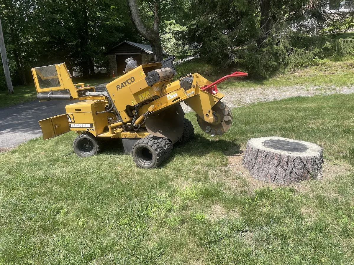 TB Stump Grinding