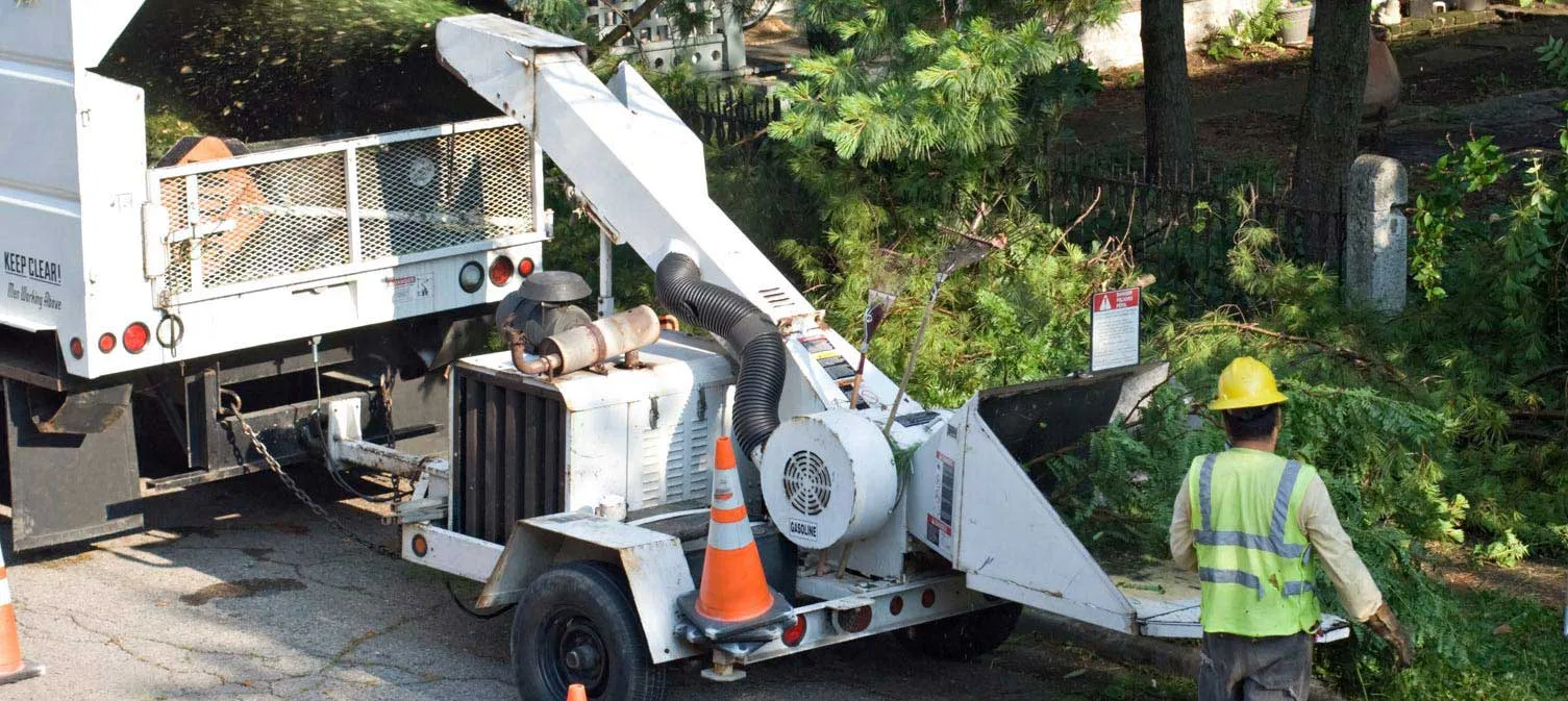Terry's Tree Service gallery 5