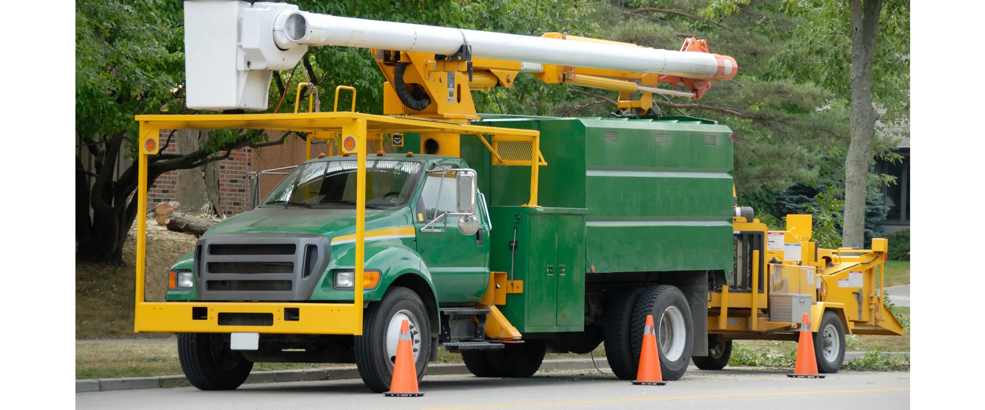 Terry's Tree Service gallery 8
