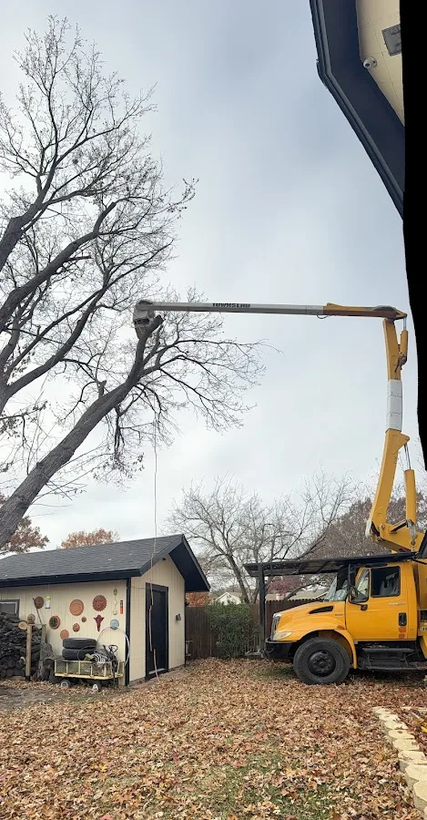 Texas Tree Tops-Tree Services LLC work site