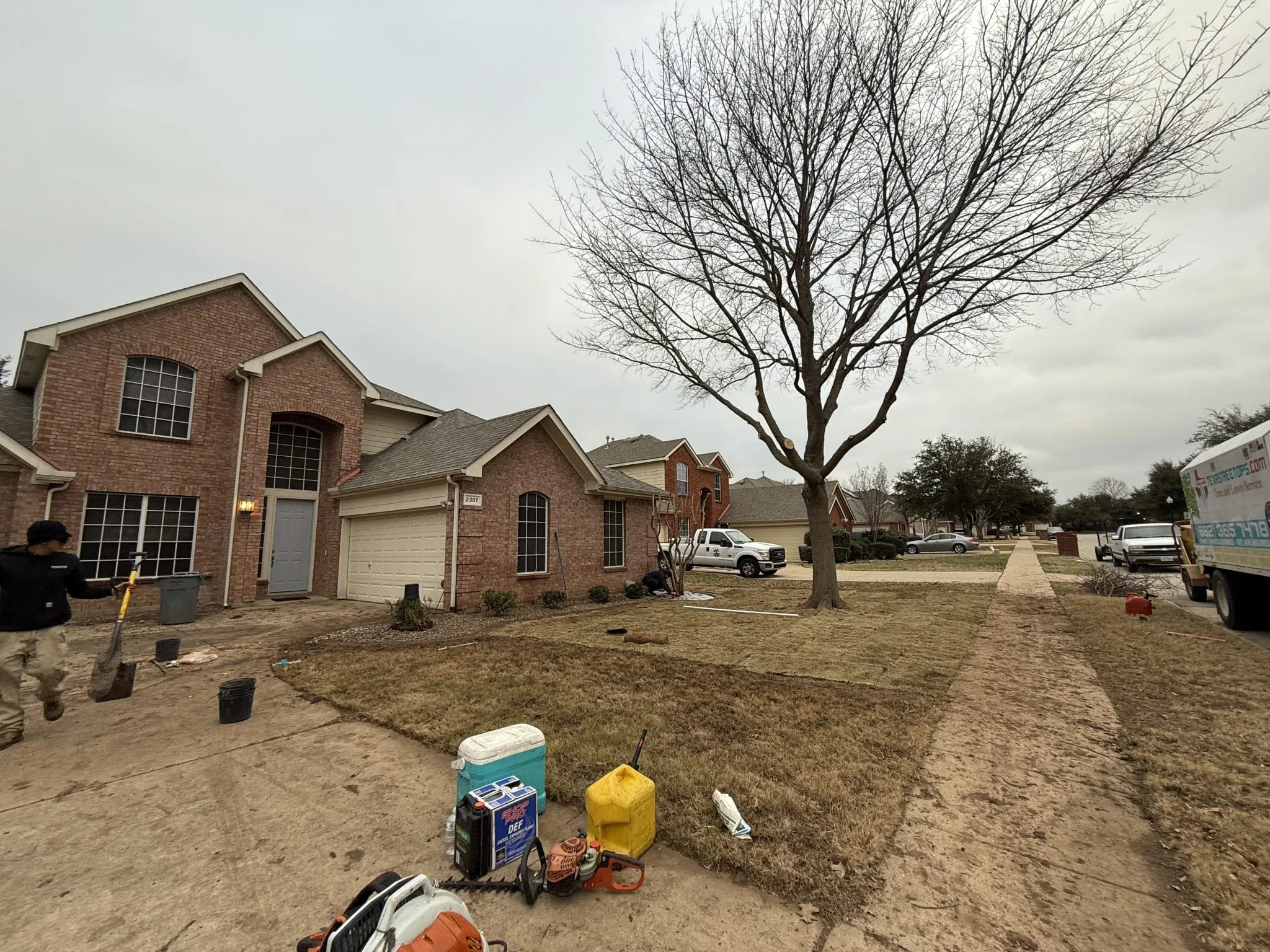Texas Tree Tops-Tree Services LLC gallery 5
