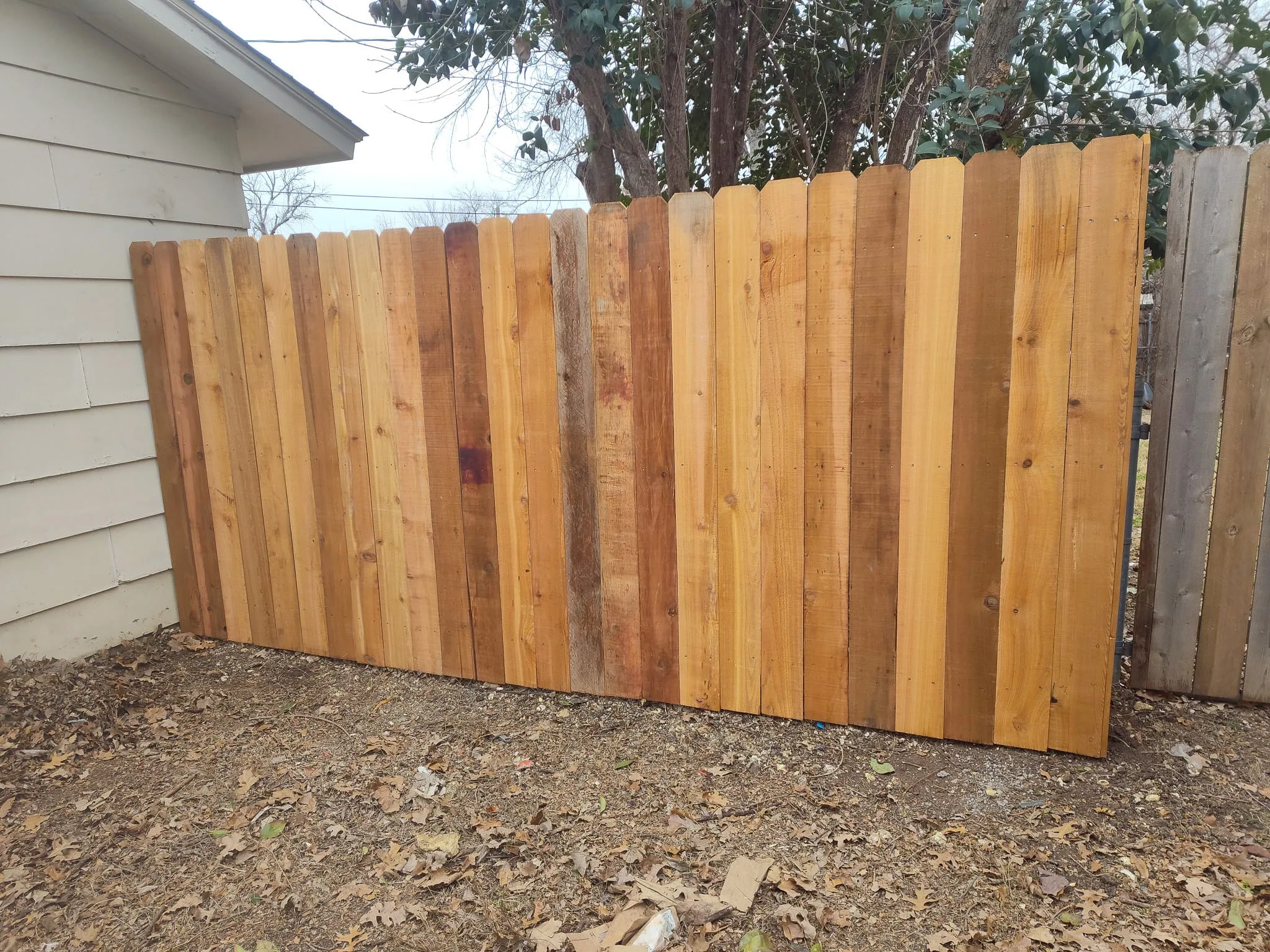 Texas Tree Tops-Tree Services LLC gallery 6
