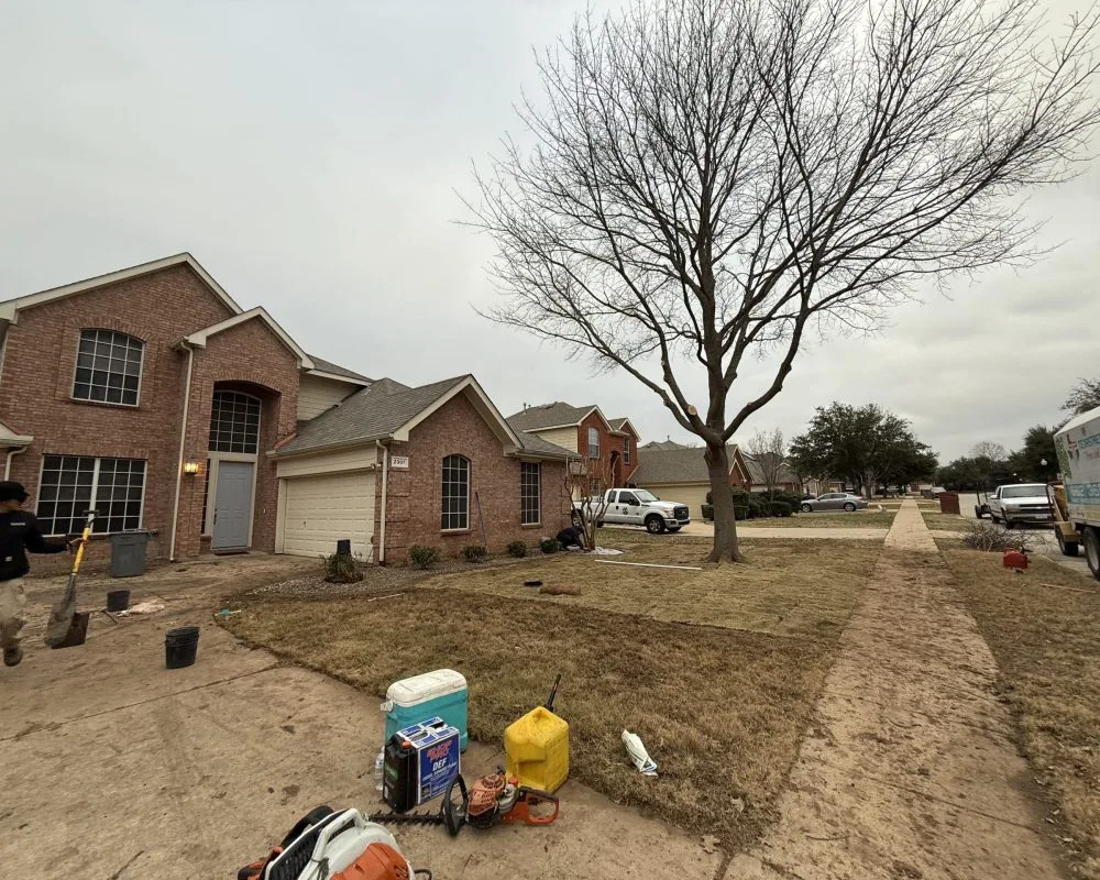Texas Tree Tops-Tree Services LLC gallery 7