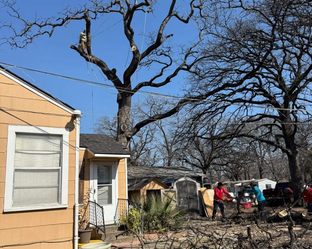 Texas Tree Tops-Tree Services LLC gallery 10