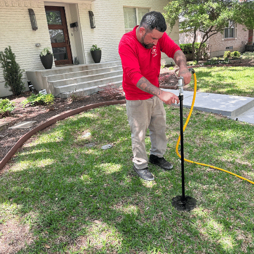 Texas Tree Transformations gallery 9