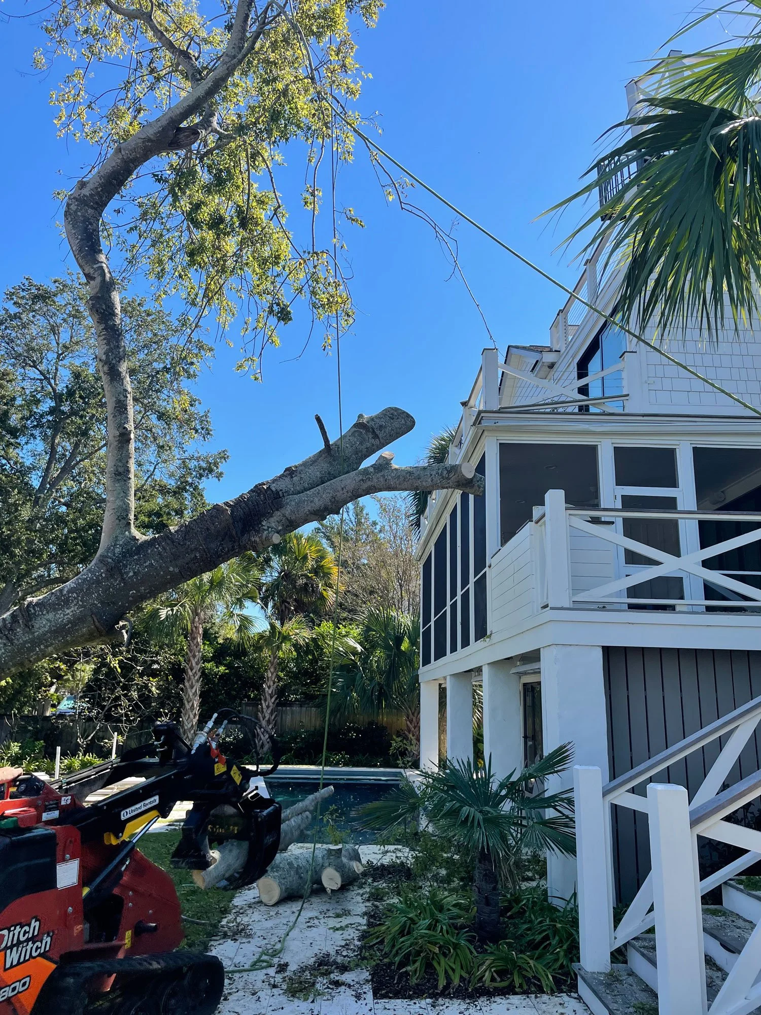 The Charleston Arborist gallery 3