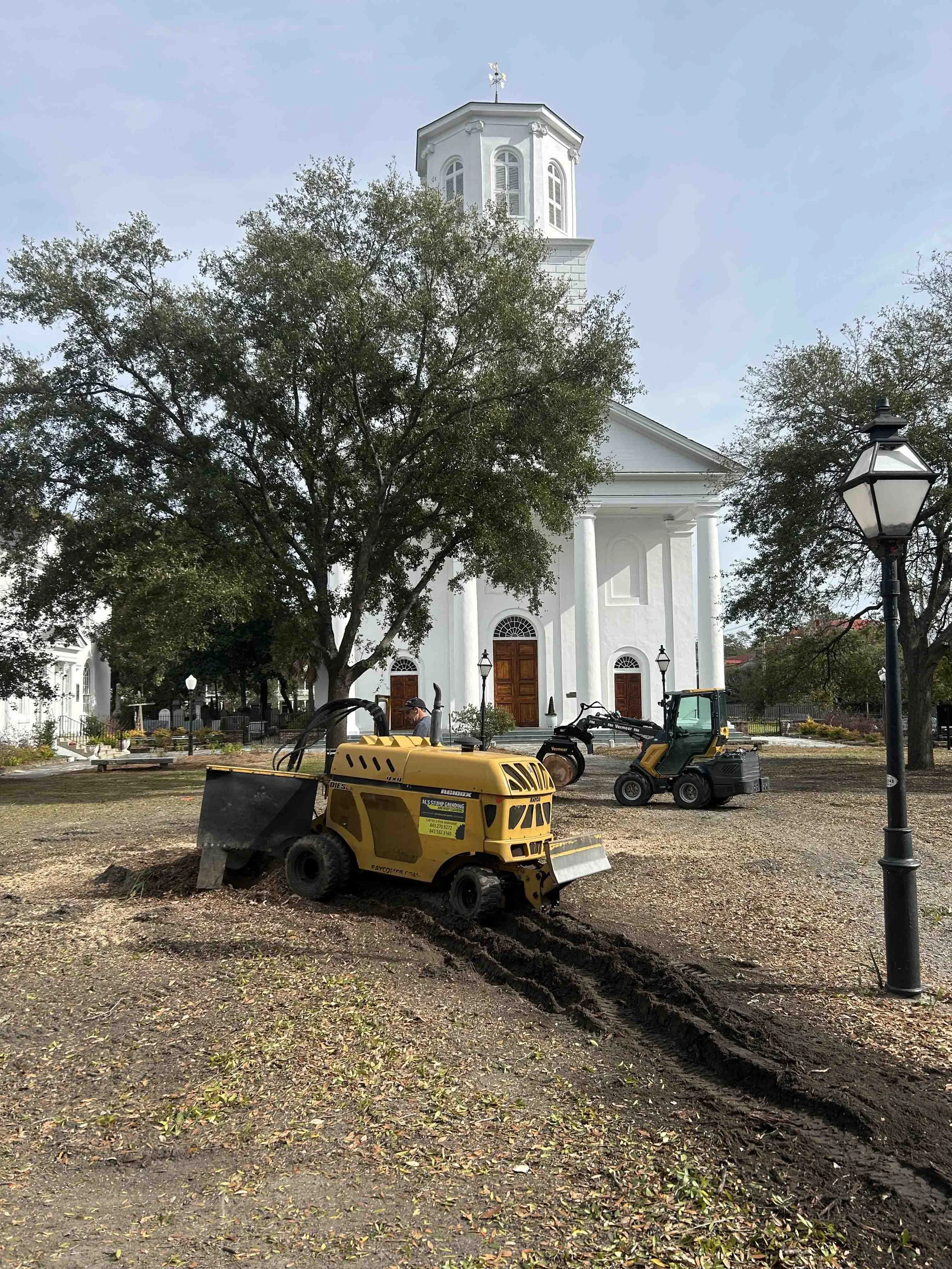 The Charleston Arborist gallery 8