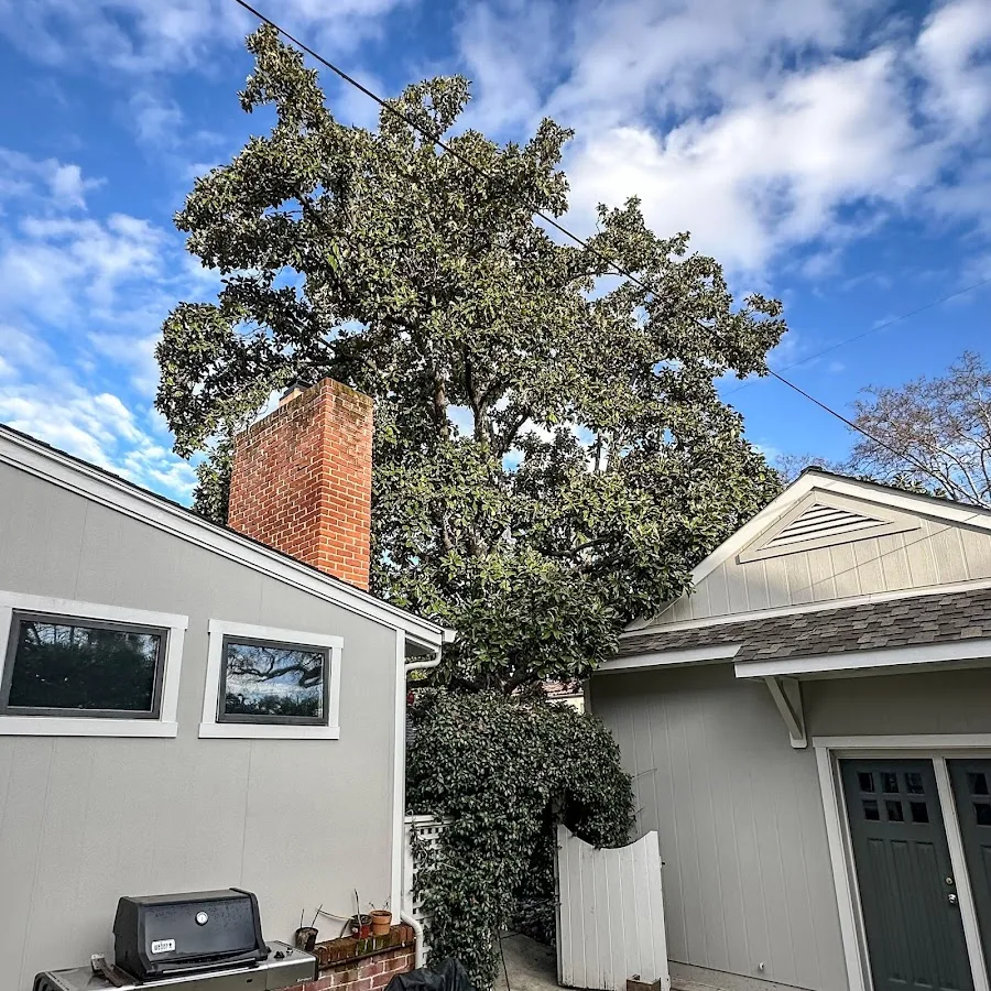The Davey Tree Expert Company