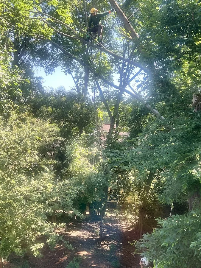 The Davey Tree Expert Company work site