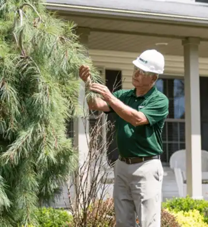 The Davey Tree Expert Company gallery 10