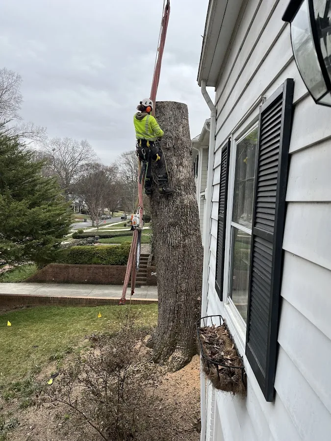 The Davey Tree Expert Company work site